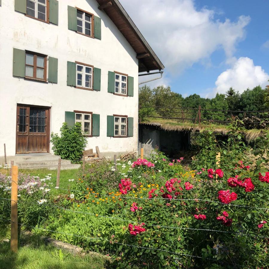 Ferienwohnung Allgaeuliebe In Oy-Mittelberg Esterno foto